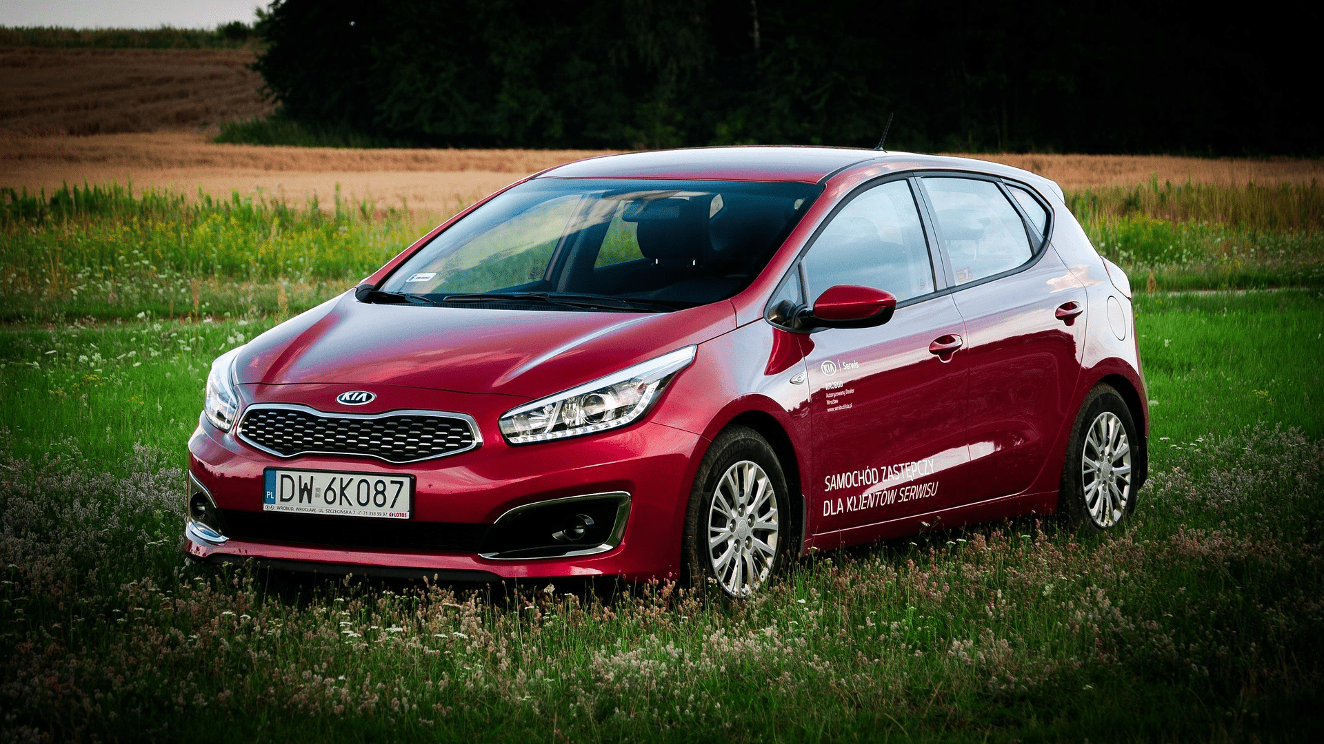 Compact eco-friendly rental car